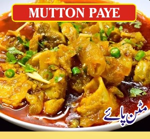 Menu for Zaitoon Restaurant Menu for Zaitoon Restaurant