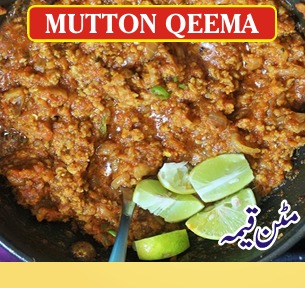 Menu for Zaitoon Restaurant Menu for Zaitoon Restaurant